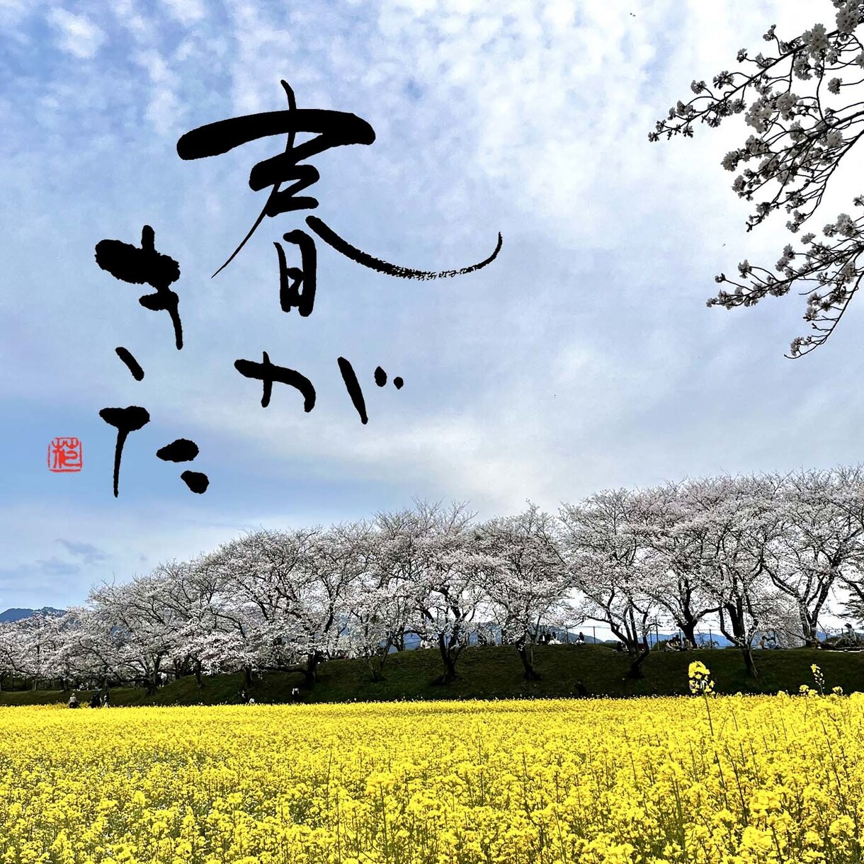 筆文字のデザイン力と書道の技術を活かして制作します ひとつ格上の筆文字を目指します イメージ4