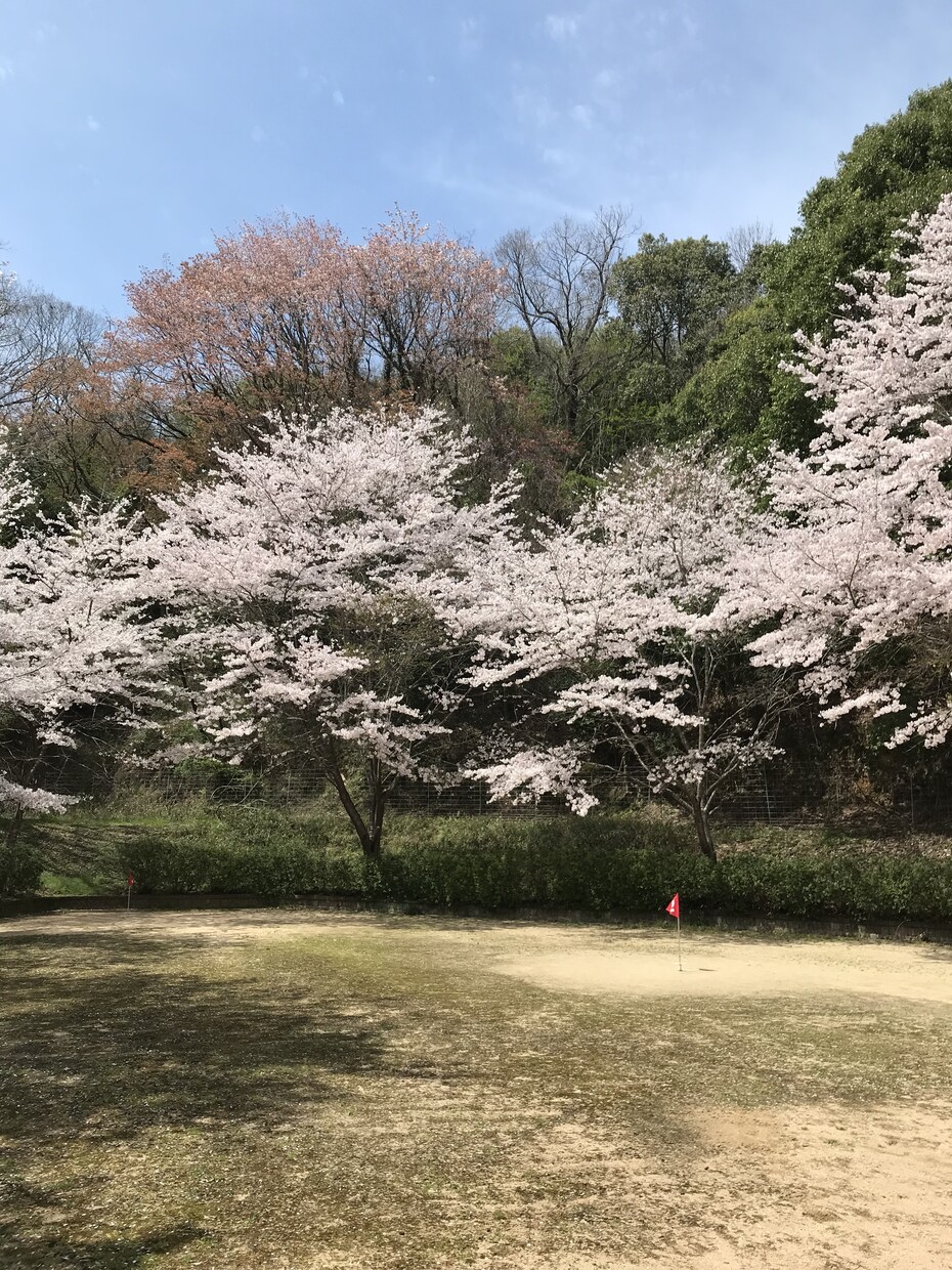 相談を受ける事への苦手意識脱却します 人からの相談は自分の魅力を再発見する機会 イメージ3