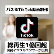 バズりやすいTikTok動画を2本作成します 総フォロワー10万人超/合計1億再生超の圧倒的実績 イメージ1