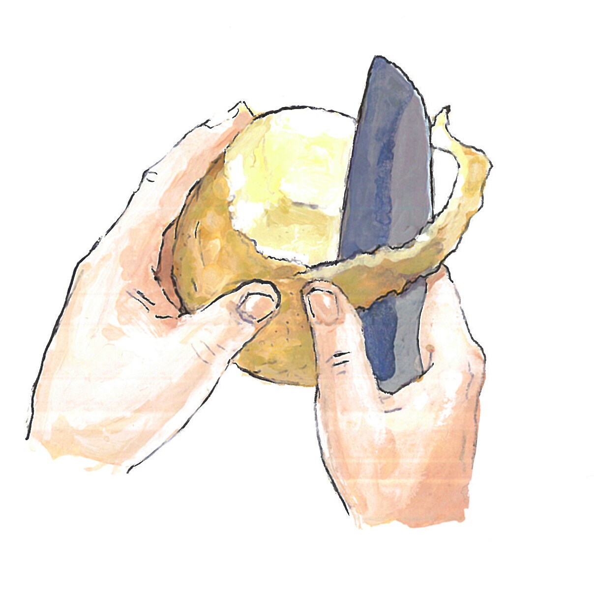 食べ物・料理のカットイラスト描きます 挿絵やメニュー表にぴったりのイラストをどうぞ イメージ6