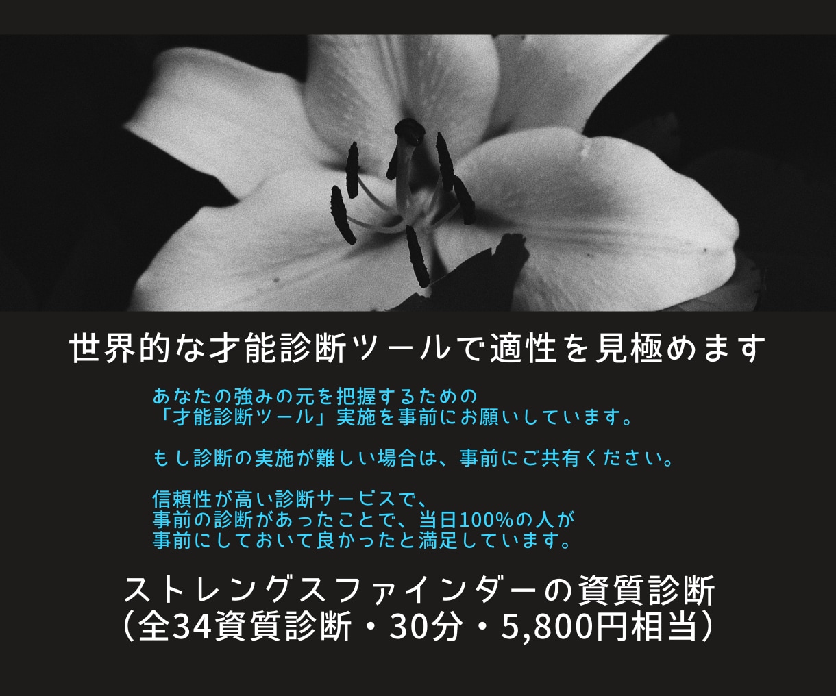 ストレングスファインダーを使って課題解決をします MBA×Gallup認定資格者：フィードバック&後日ワーク付 イメージ9