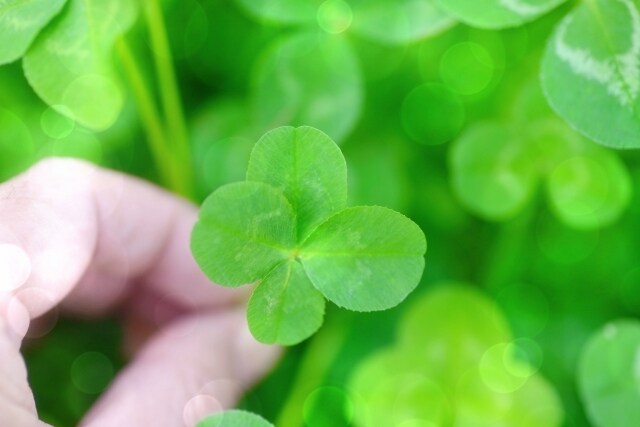 子育ての不安・ストレス・迷い・怒り☘️解消します 子育ての自信を取り戻し、心からの笑顔で過ごしませんか？ イメージ8