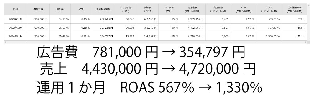 RPP広告運用・売上につなげる商品名添削を行います 実務歴10年の現役楽天市場ECコンサルタントが対応します イメージ3