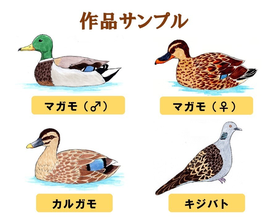 狩猟鳥獣のイラスト描きます ハンターでもある私が狩猟鳥獣の特徴を捉えたイラストを制作！ イメージ6