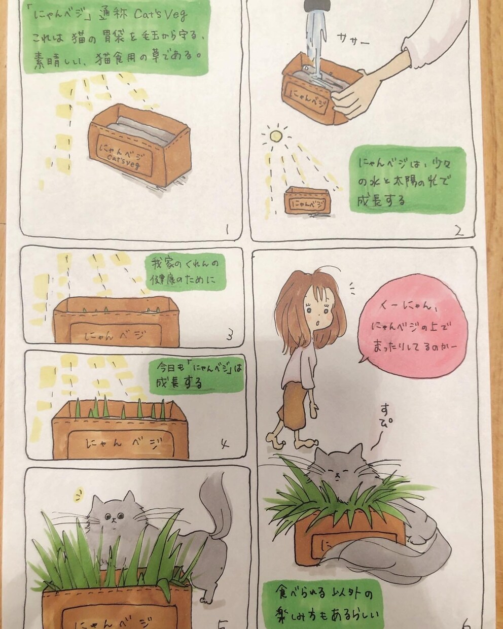 挿絵を提供します 鉛筆、コピックを使用し、柔らかいタッチのイラストです。 イメージ4