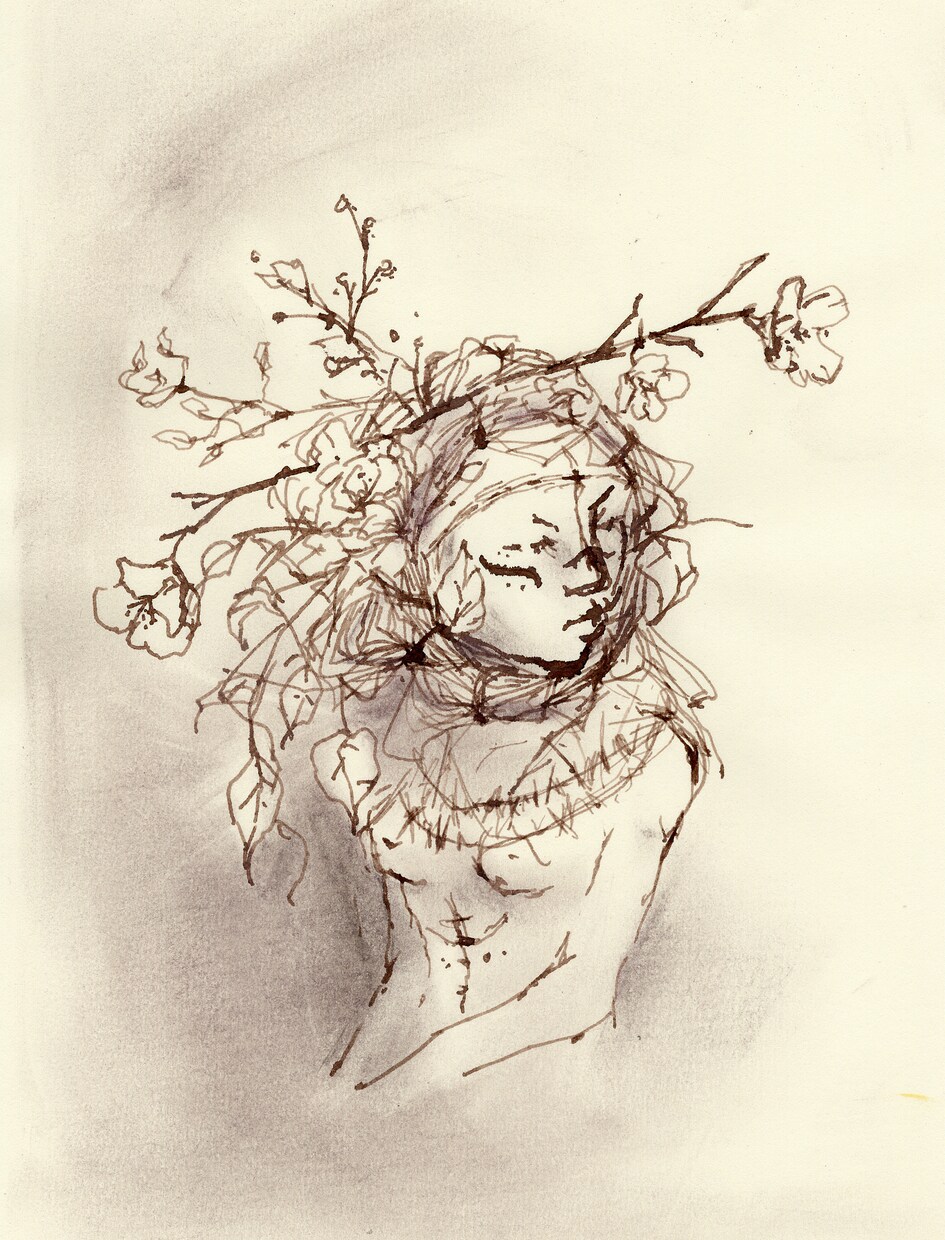 動植物・抽象模様の挿絵やイラストを描きます プロアーティストがあなたにお洒落に目を引くイラストを描きます イメージ8