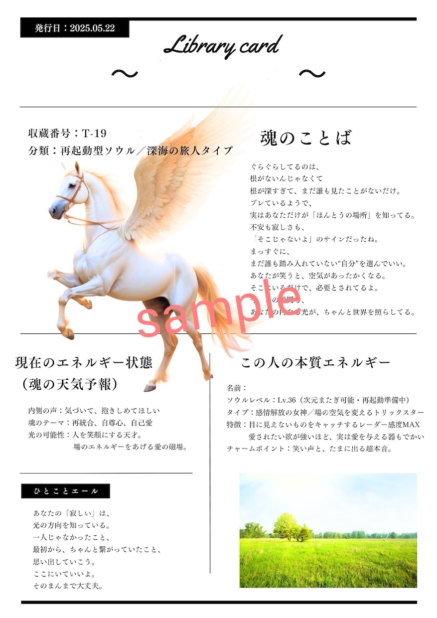 The Soul Book──魂の記憶をひらきます 占いでは届かない、魂の記憶を言葉にします イメージ3