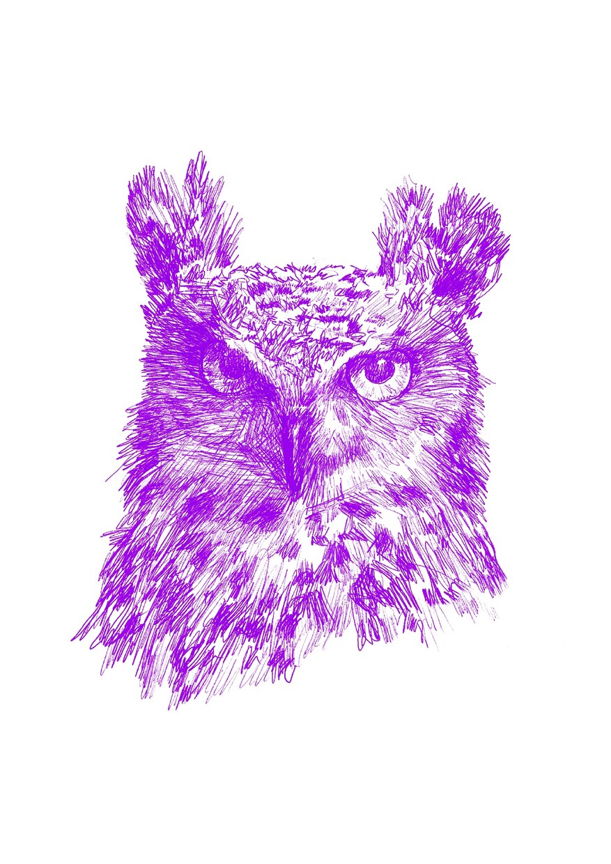 インテリア合うお洒落なペン画描きます インテリアにぴったりなお洒落な動物のペン画お描きけします。 イメージ3