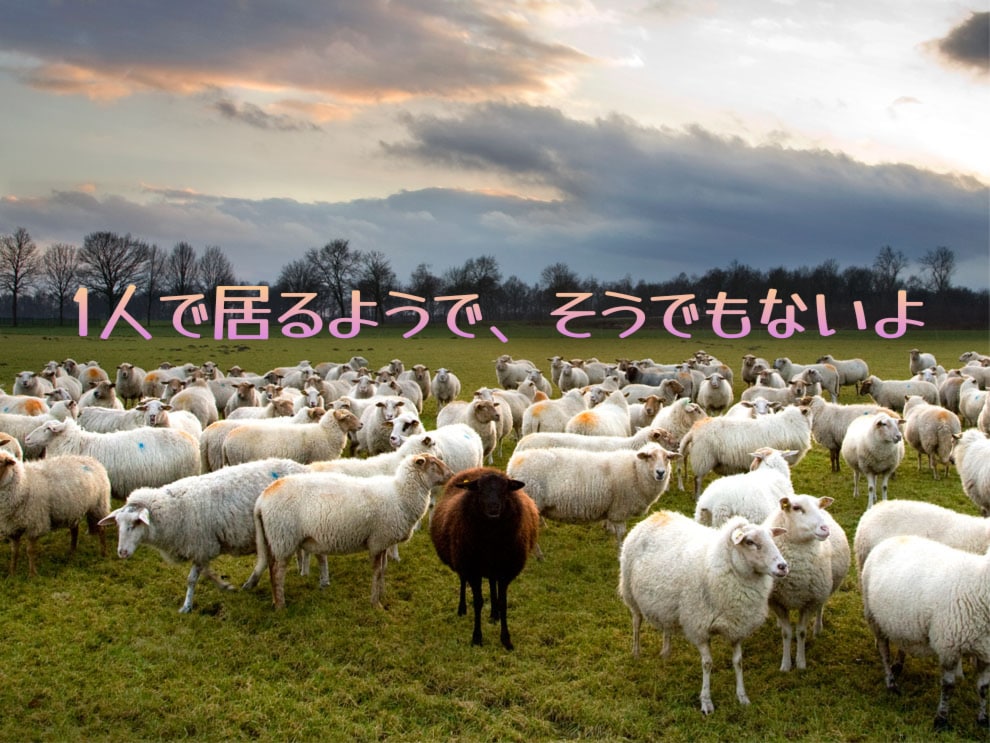 闘病、療養支援、癌サバイバー、リアル経験談話します ご本人治療中、経過観察期間、寄り添家族、各側面の体験者で最中 イメージ4