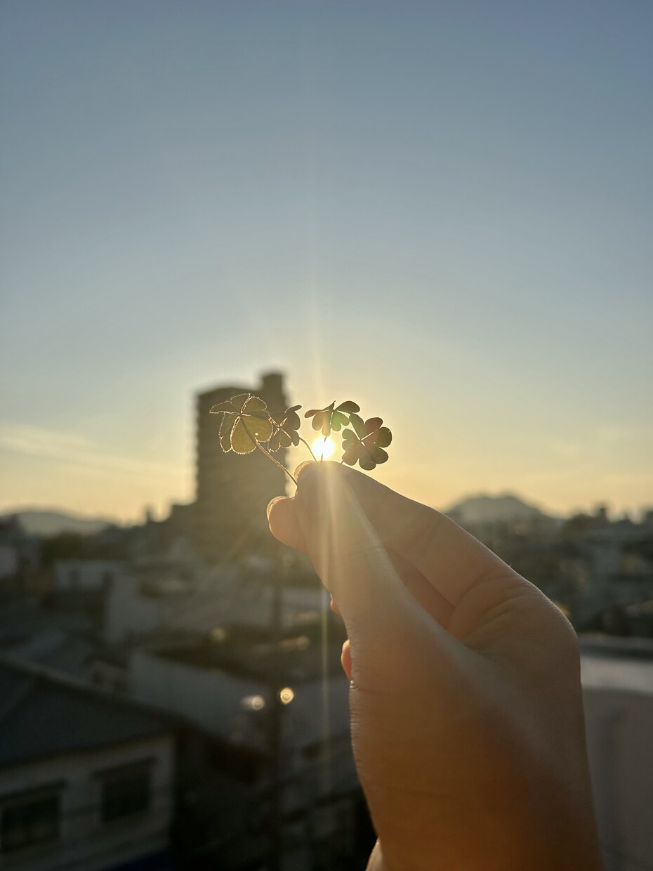 話なんでも聞きます。受け止めます。心の傷癒します 自分のことを好きになる。前向きになれる。 イメージ3