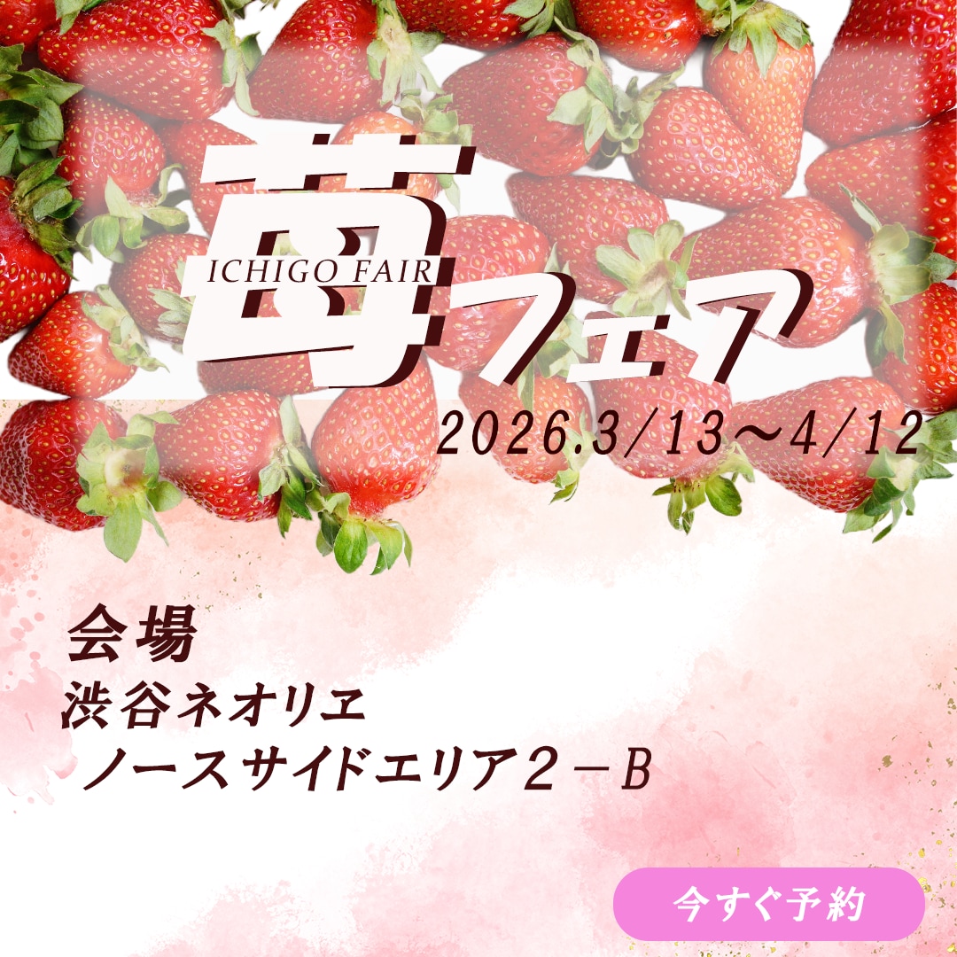 ターゲットに伝わるバナー制作をいたします バナー/各種広告画像/SNS画像 イメージ4