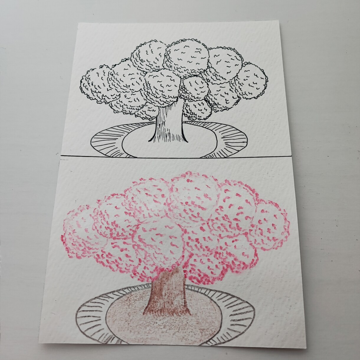 完成品の原画を販売しています 桜のイラストを線画と色鉛筆画で描きました イメージ1