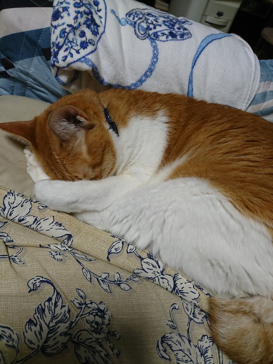 具体的に糸口を見つけます 悩みを解決したい人へオススメです！ イメージ1