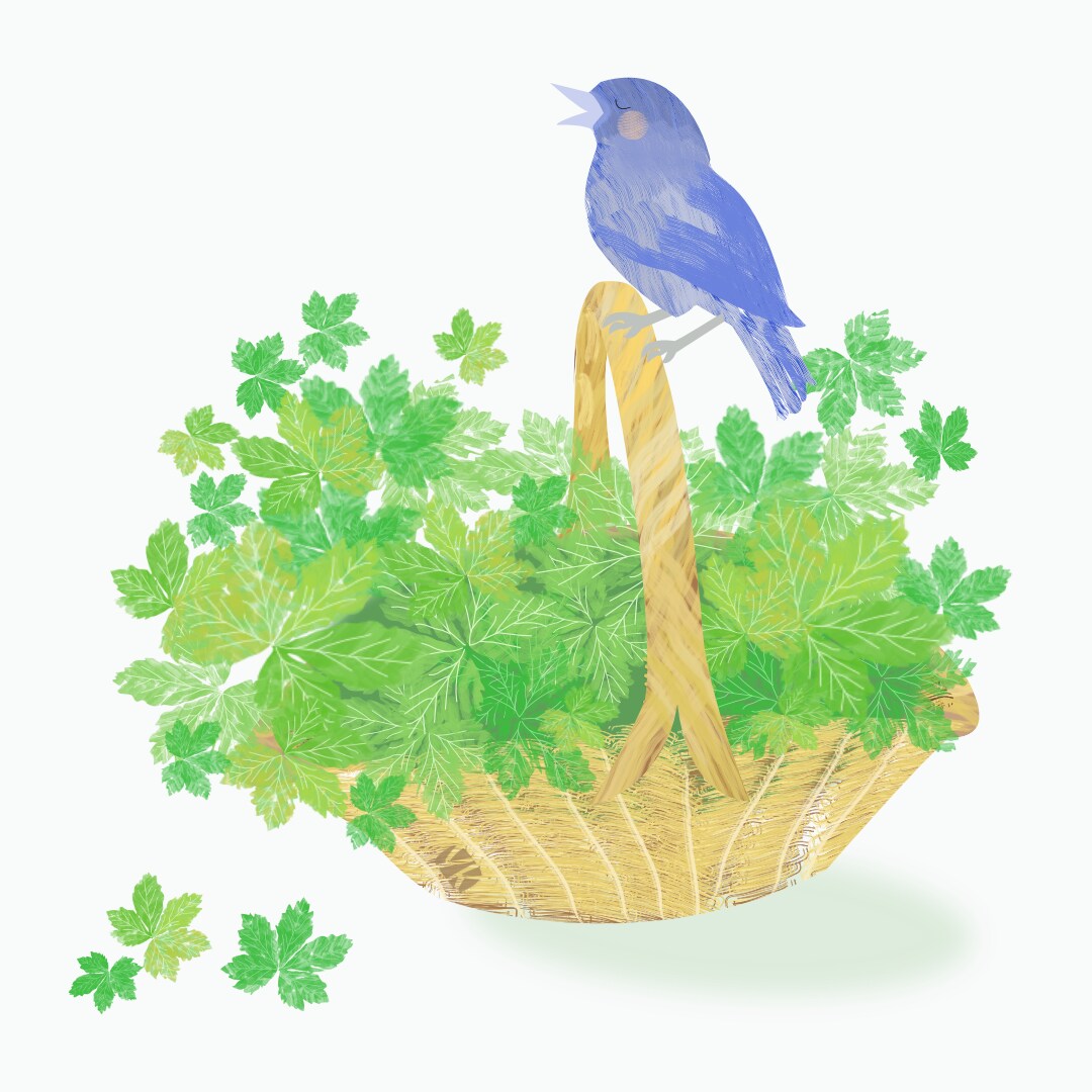 優しいイラストを作成します 自然を題材にしたこんな画像が欲しい…と思ったらご相談下さい。 イメージ4