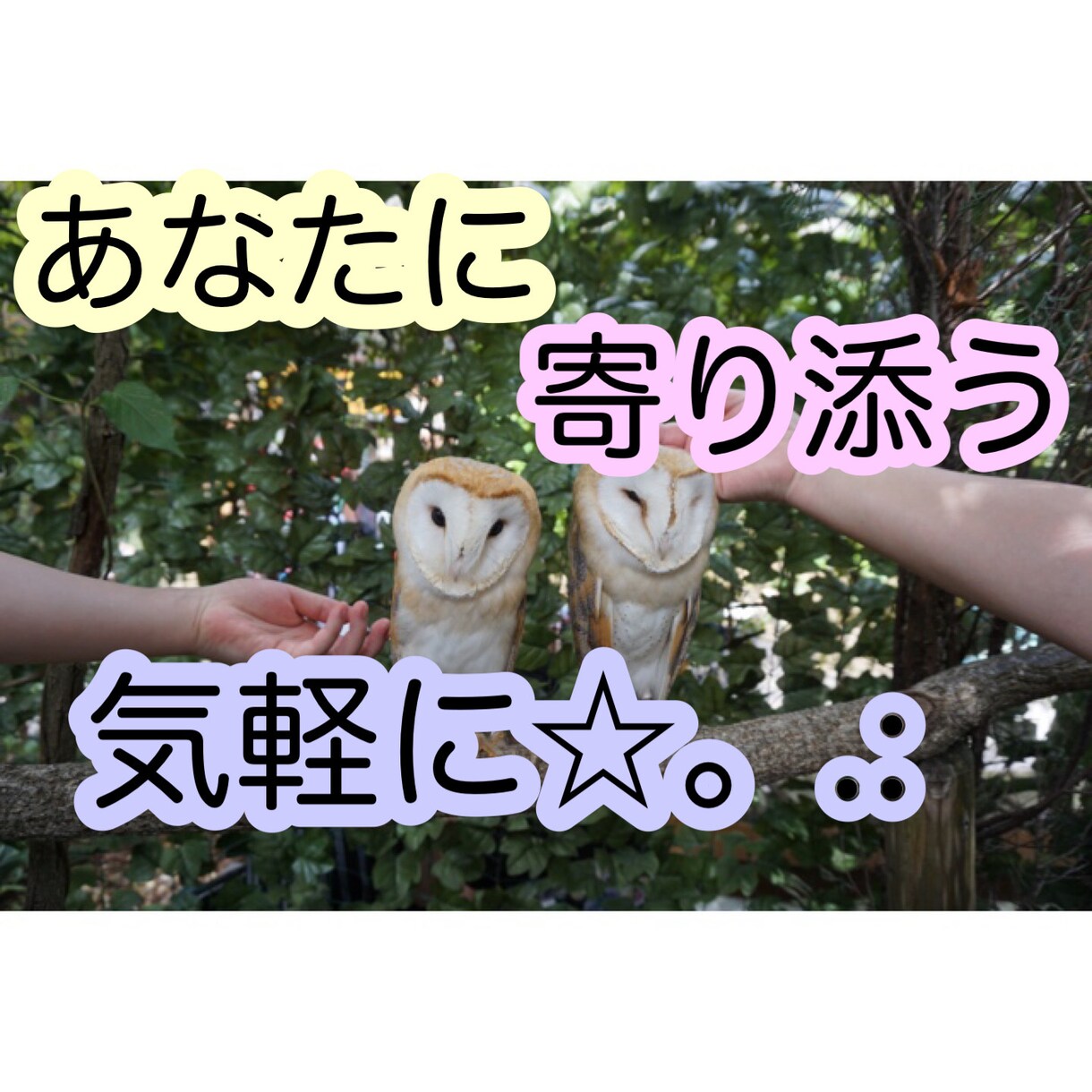 3日トークルームでお話します 気軽にやりとりしませんか？⸜( ´ ꒳ ` )⸝♡ イメージ1