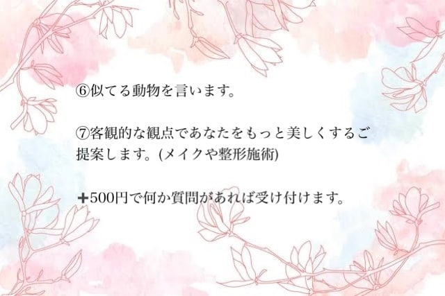 貴方のお顔を客観的採点レビュー✨垢抜け提案します 定型文なし！元美容外科勤務が貴方だけの垢抜けノートを作成 イメージ3