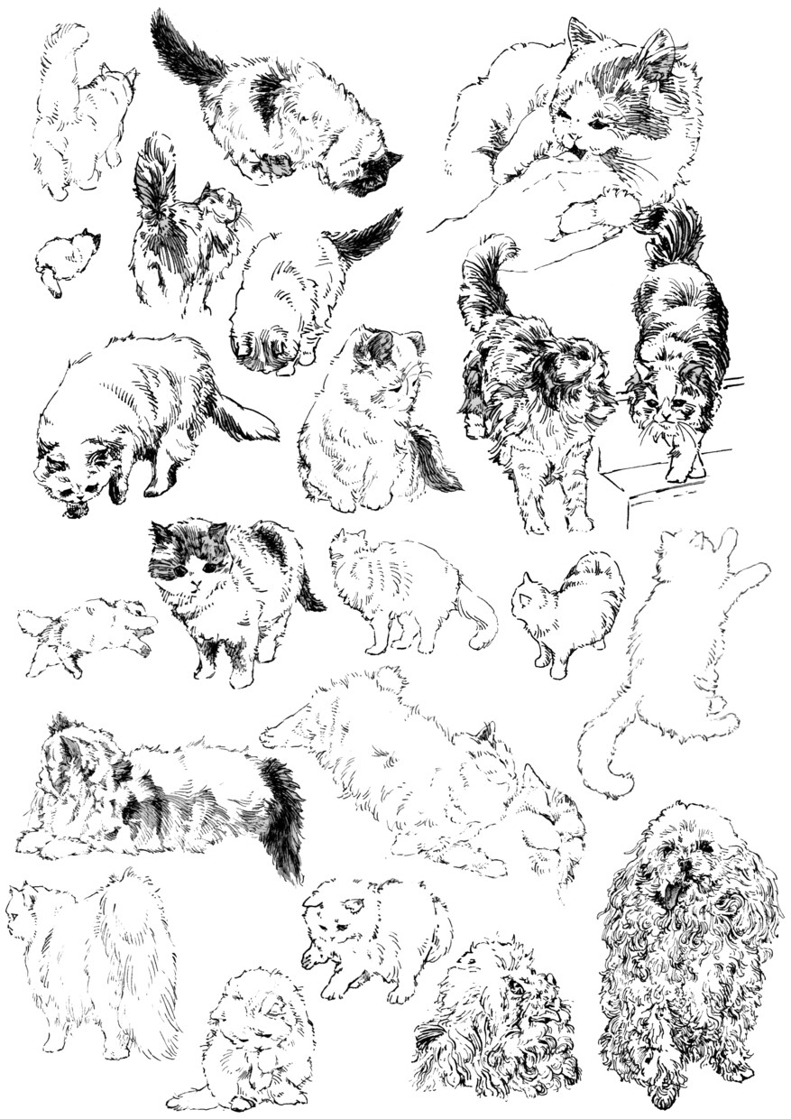 動物のおしゃれなイラスト描きます お写真・動画をもとに動きのあるイラストを作成します！ イメージ6