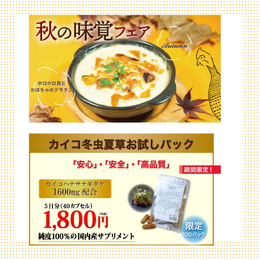 売上アップ！目を引く！高品質なバナー制作します 広告集客・アイキャッチ率高！売れるバナーを作成します！ イメージ4