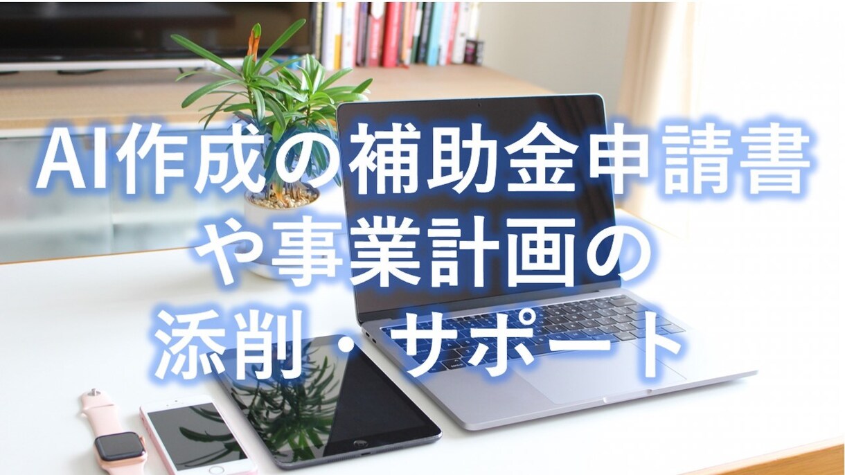AIで作成した補助金申請書・事業計画を添削します AIでは埋めることが出来ない項目もアドバイス・支援します！ イメージ1