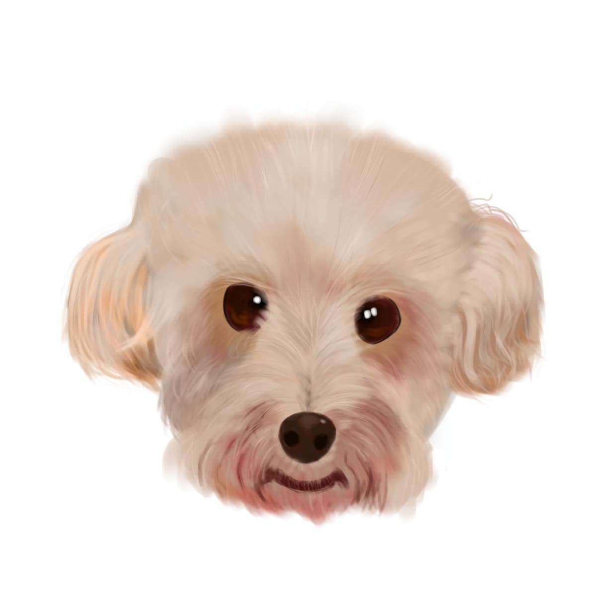 ご自慢のペット・動物イラスト描きます かわいい動物をイラストに！アイコンなどにも！ イメージ3