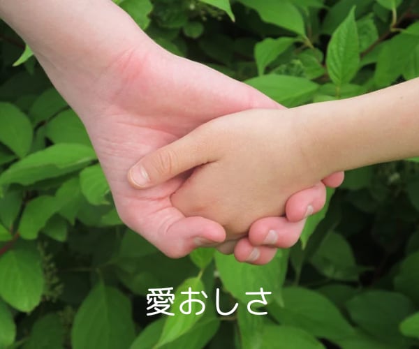 親子関係のお悩み★解決へとお導きします つらい感情★深い傷★ヒーリング✨寄り添い優しく癒やします✨ イメージ8