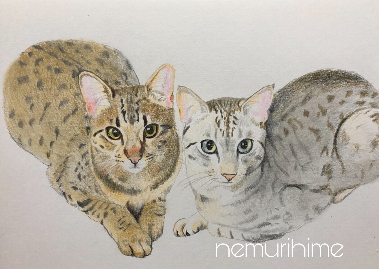 大切な家族、ペットをリアル似顔絵で描いてます リアル似顔絵は写真に近い絵です。可愛い子はさらに可愛く イメージ4