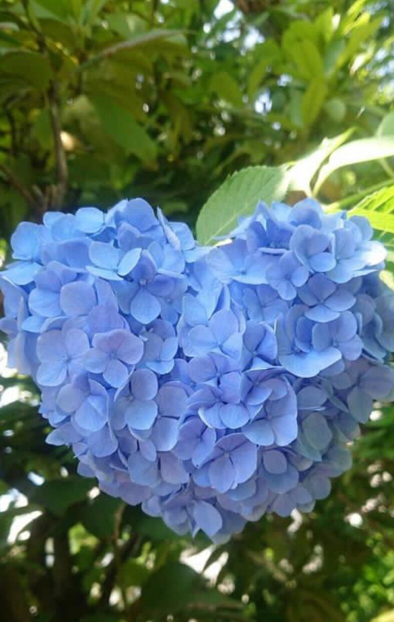 医療系専門職としてあなたの悩み相談をお聴きします あなたの良いところさがしをします イメージ1
