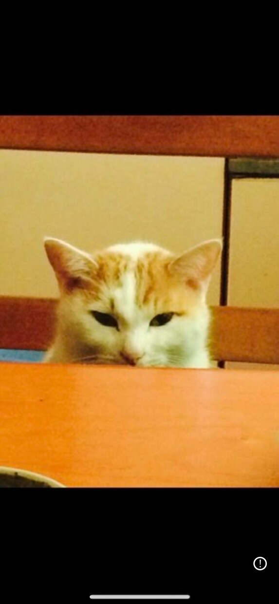 お悩み相談お聞きします よく相談をされ、話してよかったと言ってもらえます。 イメージ2