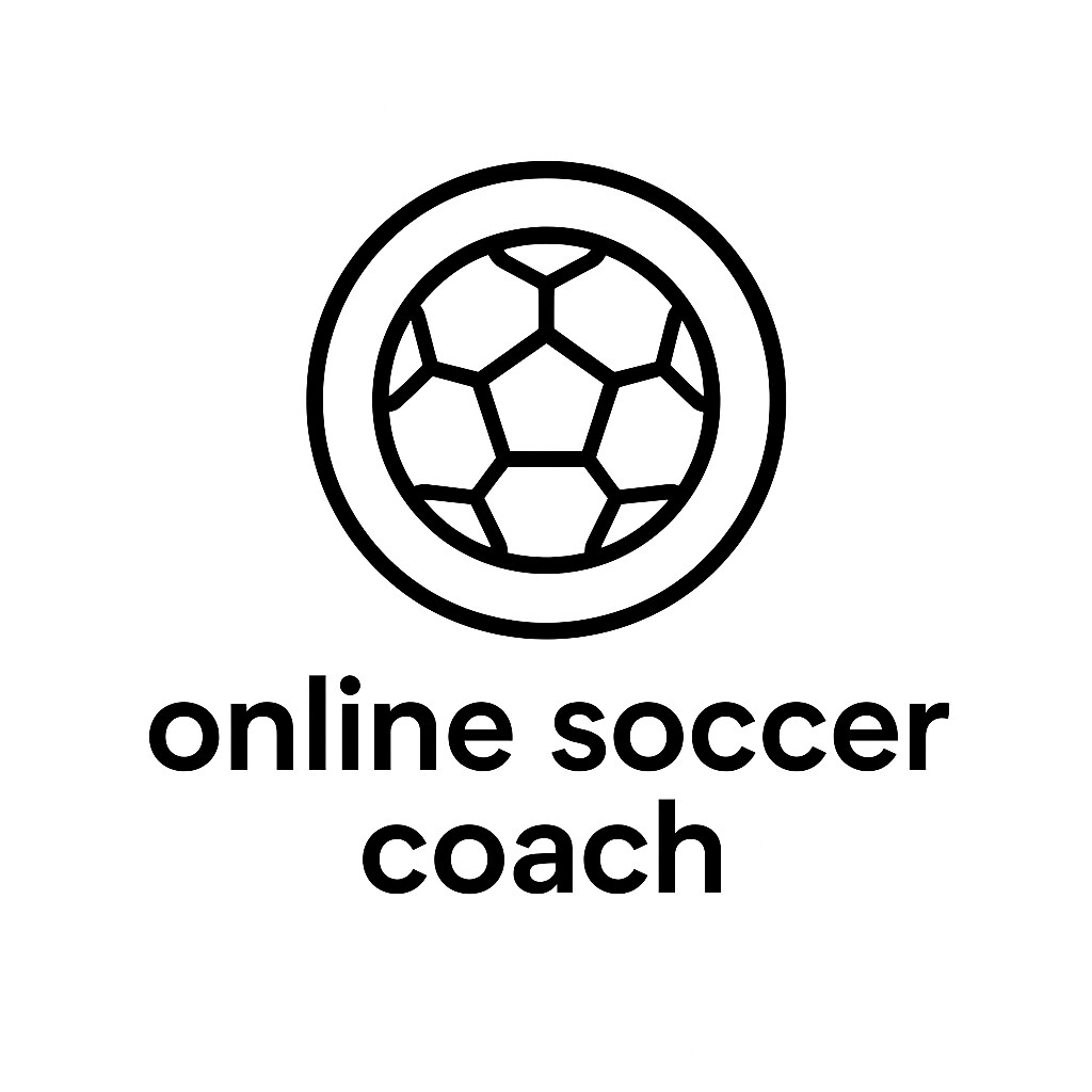 オンラインで楽しく上達⚽ジュニアサッカー指導します 小・中向けのサッカー個別レッスンです。丁寧に指導します イメージ1