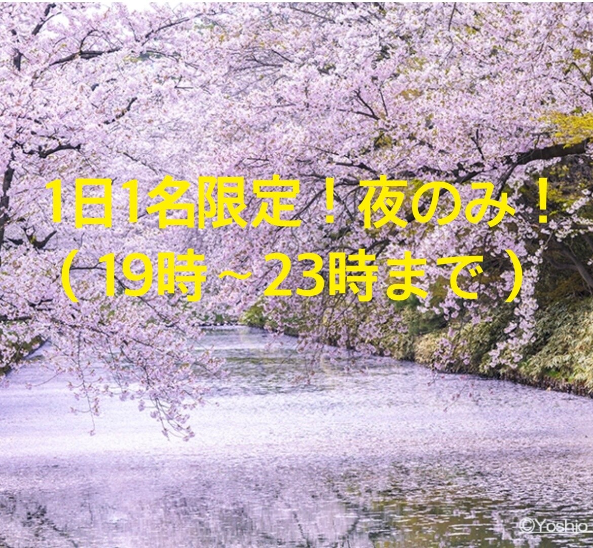 1日1人限定夜のみチャットで対応します 電話は苦手という方必見！1日一名限定です！ イメージ1