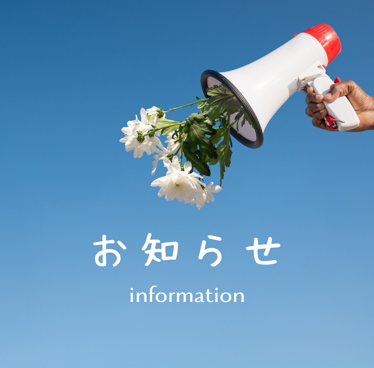 心惹かれる！目に留まる！Web画像を制作いたします 心惹かれる！お客様の目に留まるWeb画像を、制作いたします。 イメージ5