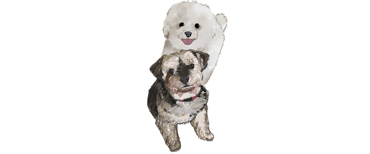 愛犬、愛猫のイラスト描きます 愛犬愛猫の思い出の瞬間をイラストで描いてお届けします イメージ3