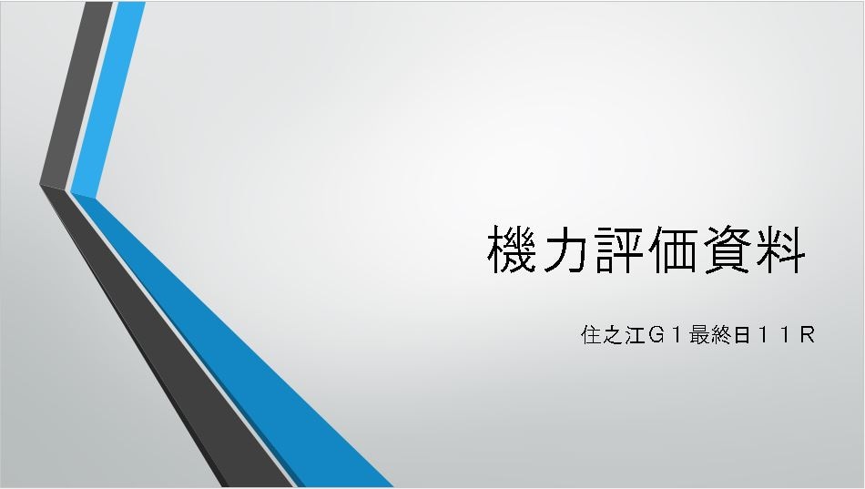 ボートレース（競艇）機力評価資料　明日のレースの舟券予想に！ イメージ1