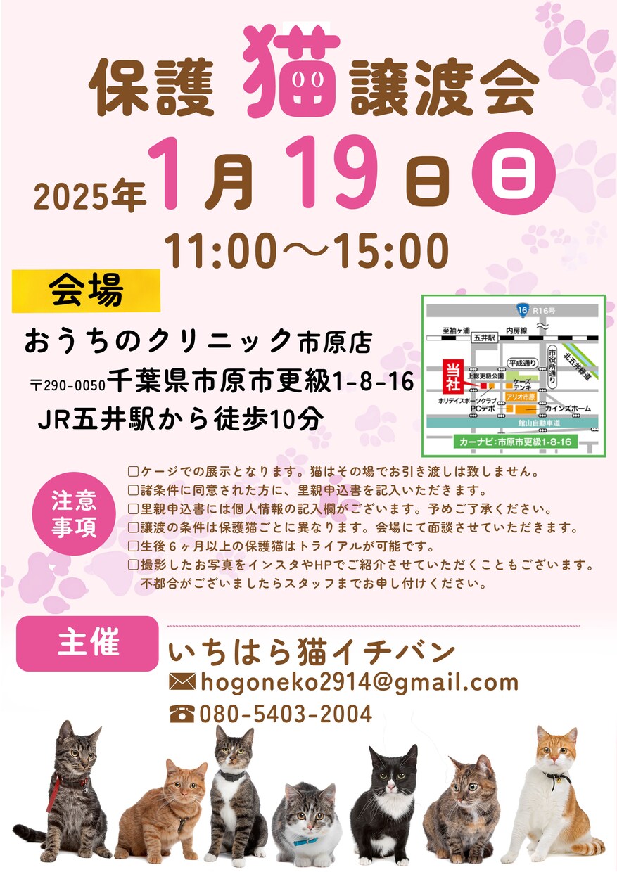 地域密着！保護猫イベントのチラシお作りします “会いに行きたい”と思ってもらえるデザインを。 イメージ6