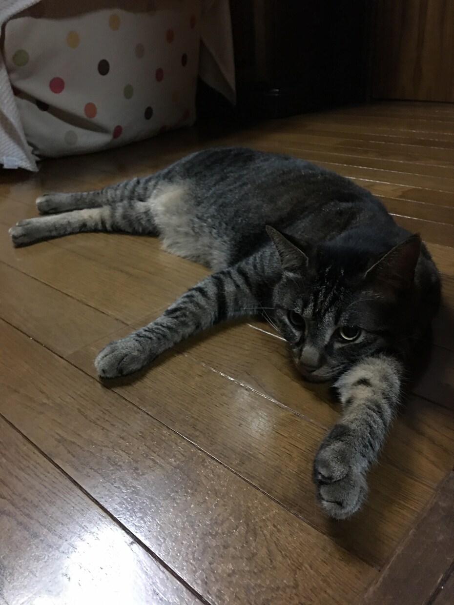 離婚経験者です。離婚危機の相談をさせてもらいます 離婚経験者です。調停、親権の審判、離婚裁判を経験しました。 イメージ1