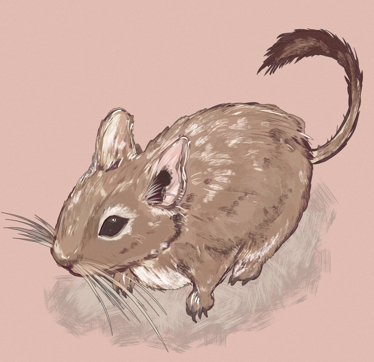 ペットイラストを制作します 大切で可愛い家族を、あなただけのイラストに！ イメージ4