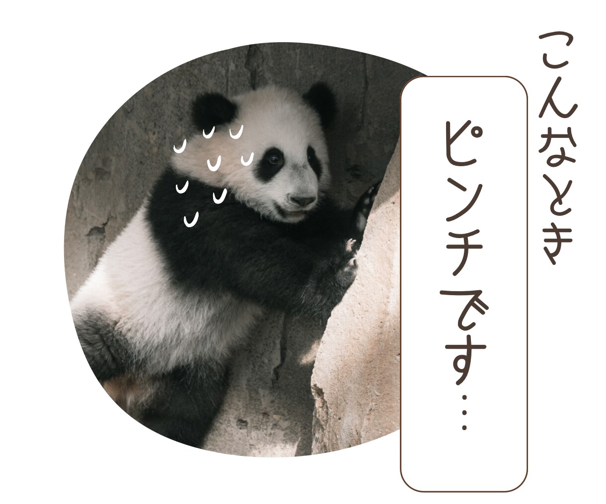 仕事、会社、人間関係&…のお悩み、愚痴聞きます 短時間でも大丈夫です。雑談から重めのお話まで！ イメージ3