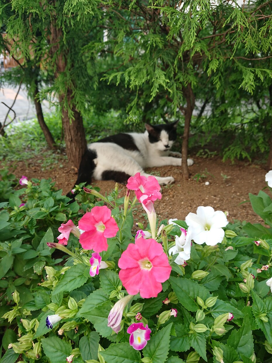 心をラクに。早大卒風俗嬢が悩みの芯をほぐします 悩みには「芯」があります。心のモヤを取ってトゲを抜きましょう イメージ1