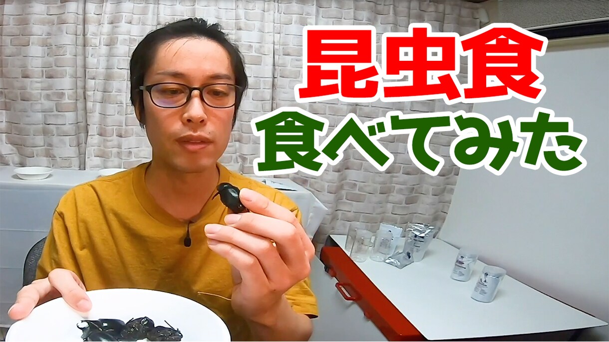 YouTuberの動画編集代行いたします 動画編集(テロップ/BGM/SE)、アニメーション制作など イメージ3