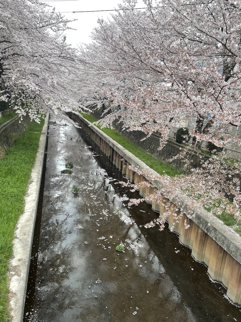 お話聞きます 主に対人関係、恋愛、職場の人間関係などの話、愚痴聞きます！ イメージ1