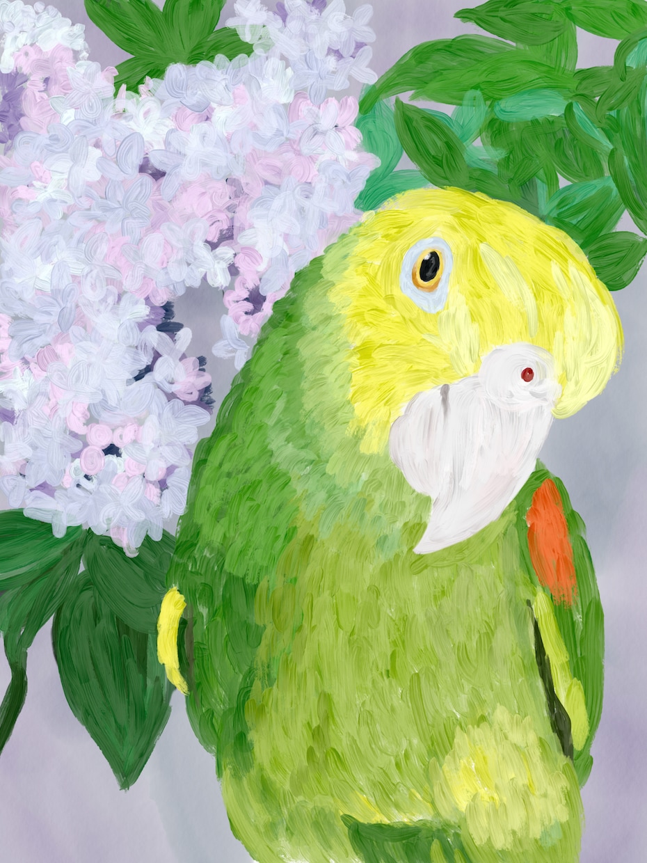 動物(リアル・キャラ両方可能)のイラスト描きます Webサイト用イラストやTwitterのアイコンに イメージ4
