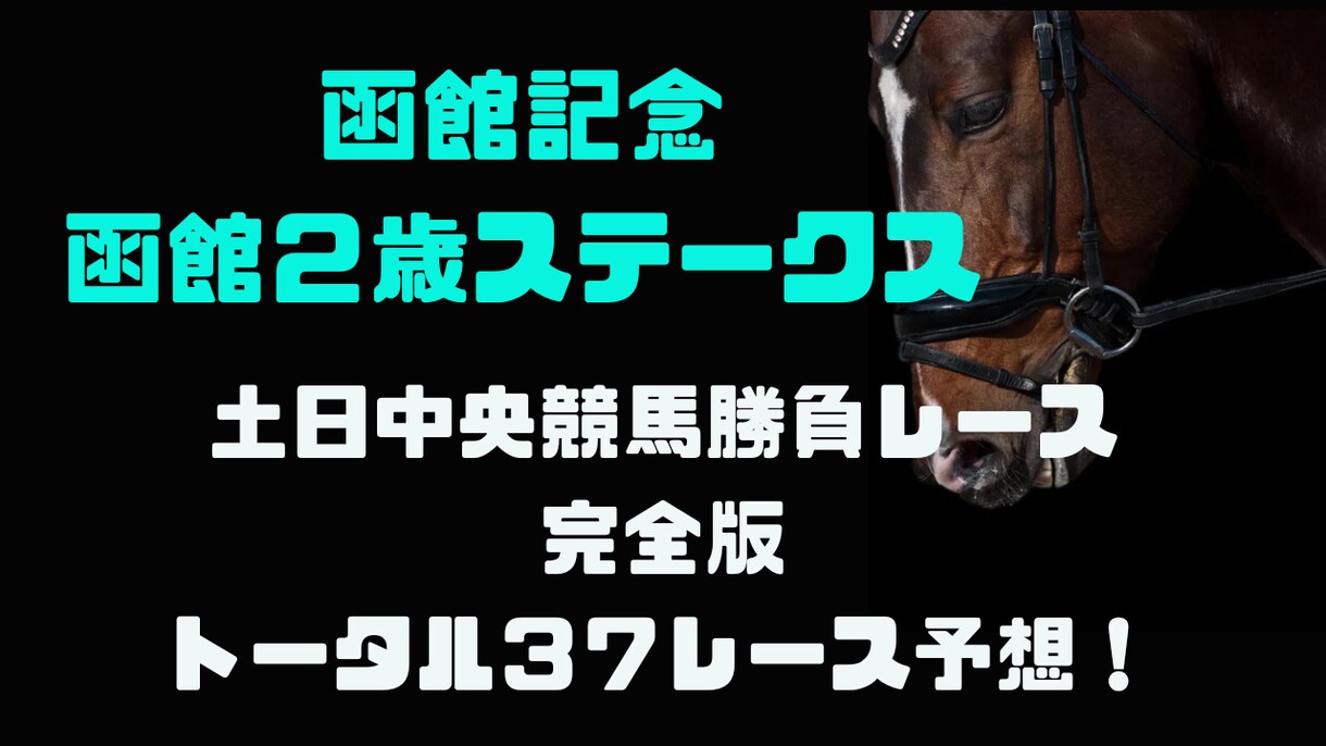 完全版中央競馬馬券術で挑む３７レース予想します 函館記念や函館２歳ステークスなど３７レース予想！ イメージ1