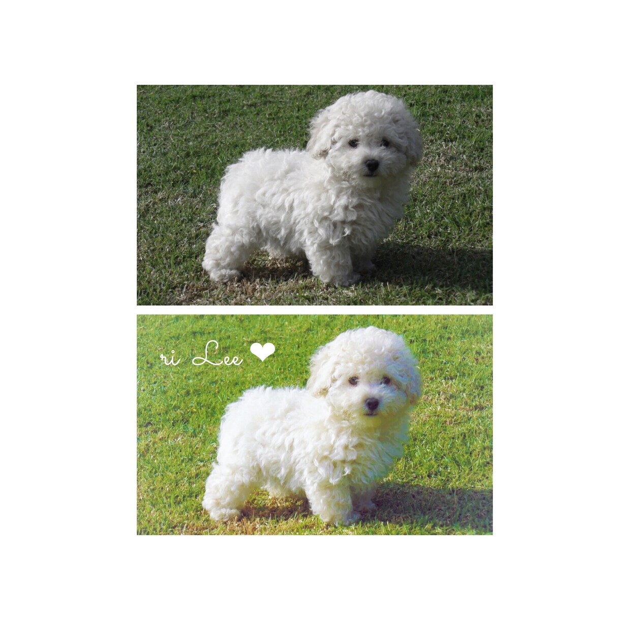 大切な写真をもっと素敵な１枚に♡私がお手伝いします プロフ画像、〇才記念、新婚旅行、家族写真などなんでもお任せ♡ イメージ2