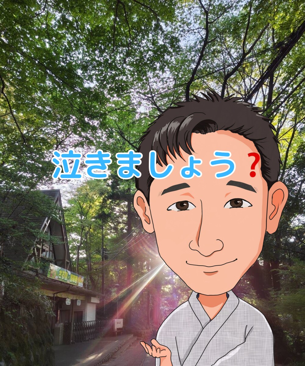 占い合わなかったあなた癒します 恋愛・片思い・出会い結婚・浮気・DV・離婚等占後悩んだ方へ イメージ2