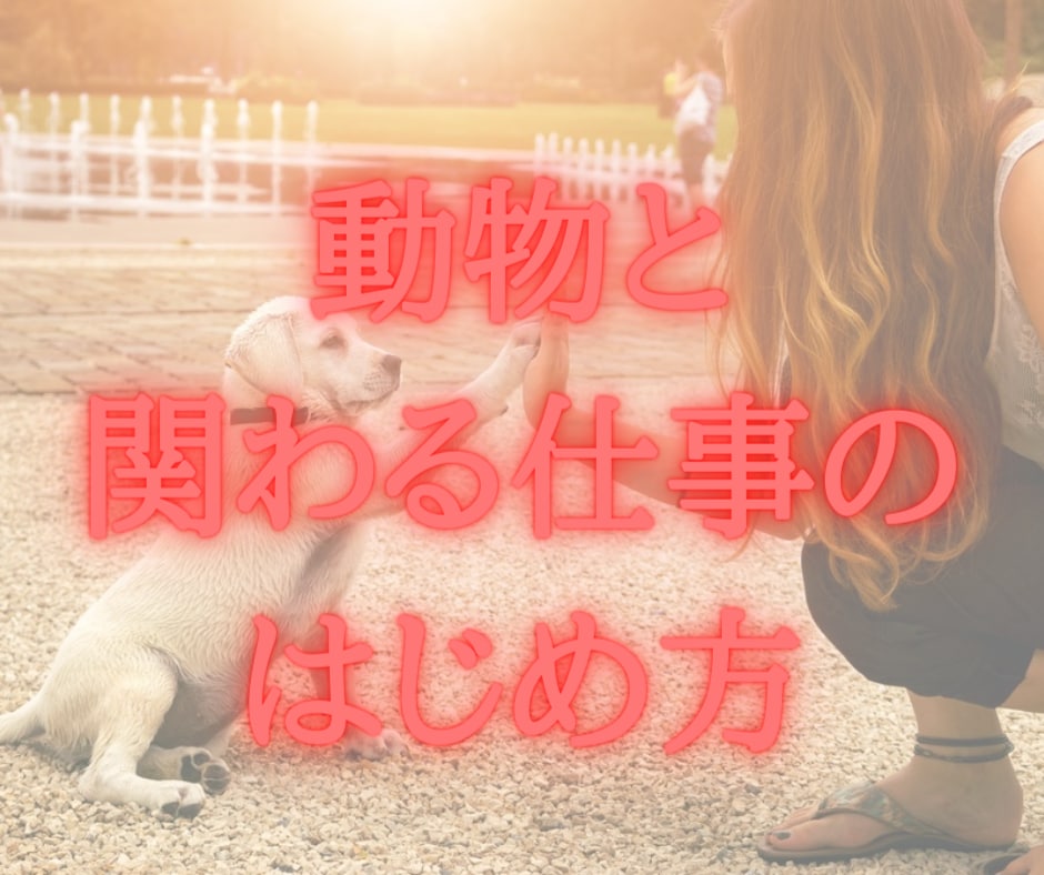 アニマルコミュニケーターデビューへの道筋伝授します 動物と関わることを仕事にするための超具体的ステップを解説 イメージ1