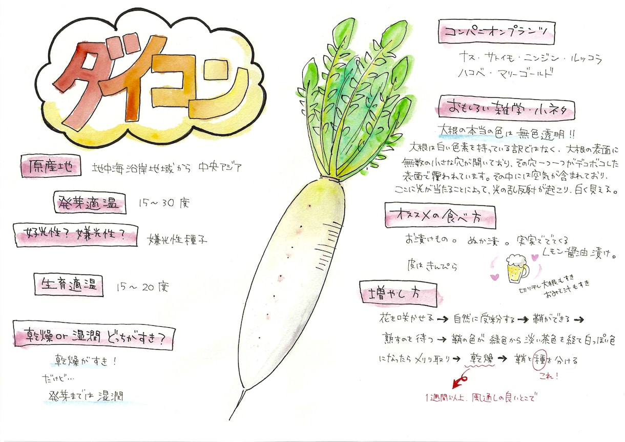 植物のイラストお描きします 〜植物大好きな私が描く植物イラスト〜 イメージ4