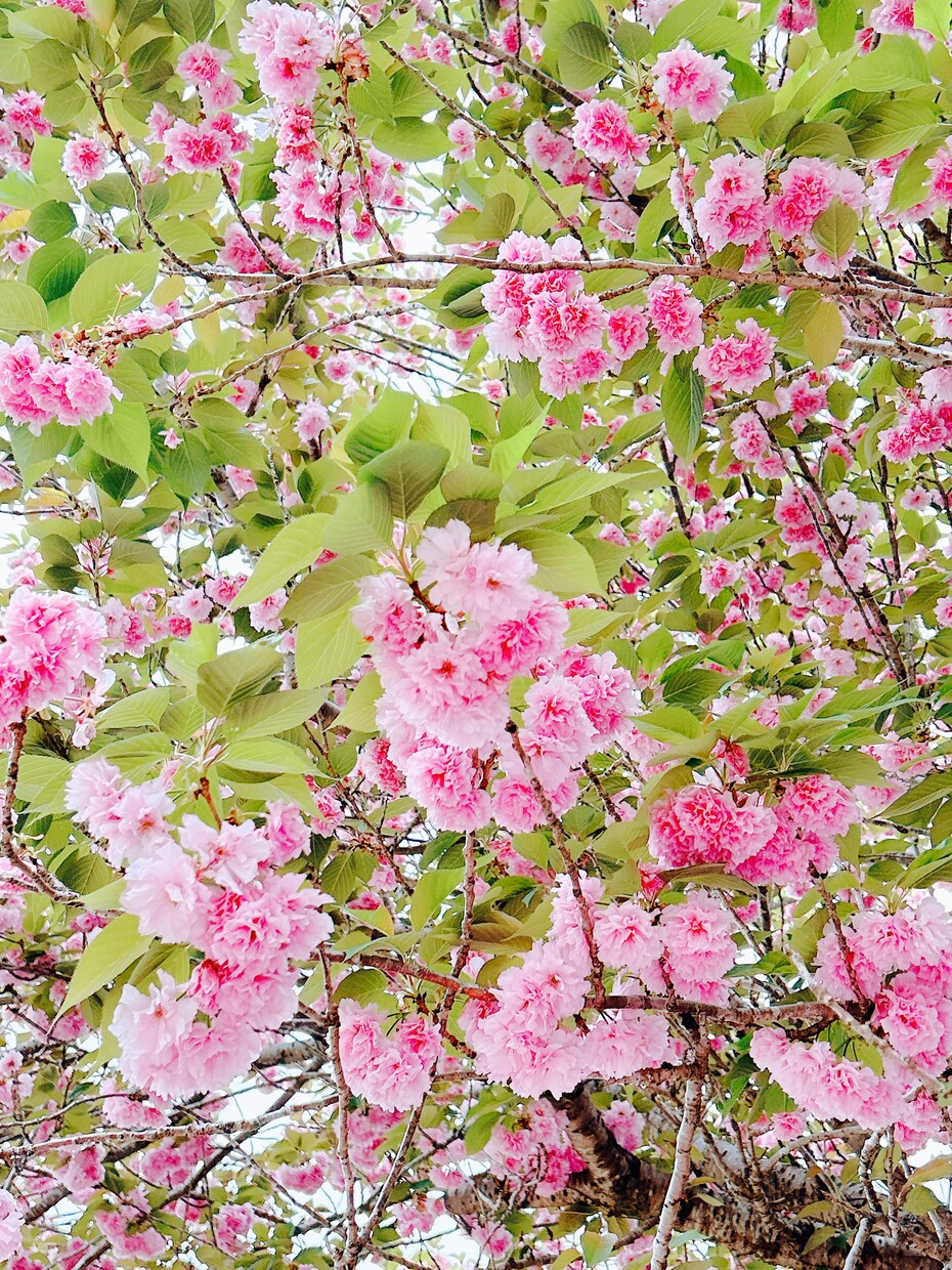 いまの不安と、これからの未来について寄り添います 不安はあって当然です。その不安を受け止めるお手伝いをします。 イメージ9