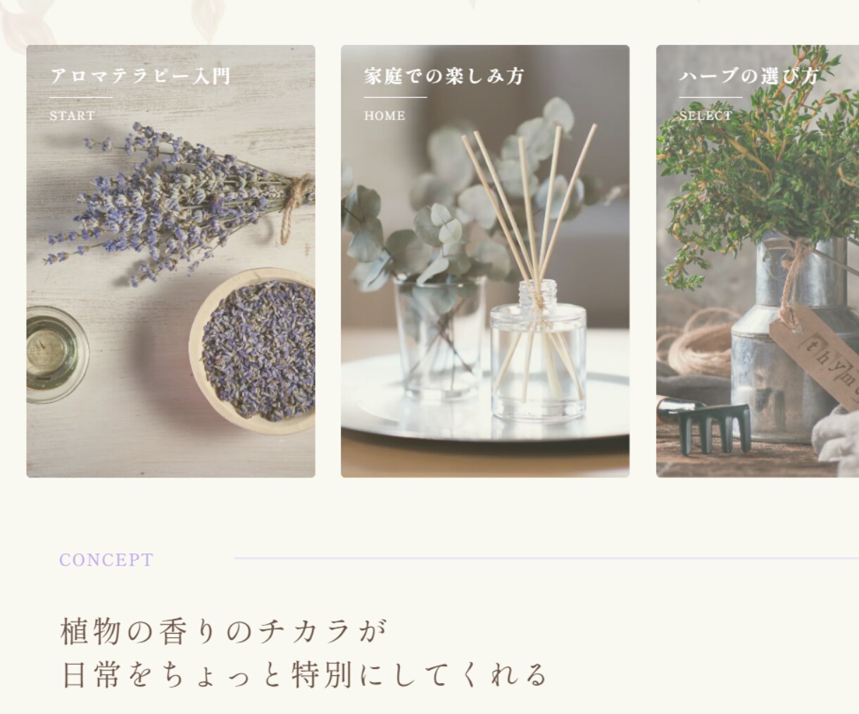 ワードプレスでアフィリエイトブログ制作いたします 初心者さんを応援！全力サポートします。 イメージ4