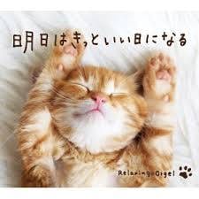 あなたのモヤモヤした辛い気持ち聞きます 今は辛いけど、一歩踏み出して幸せの階段を‼︎ イメージ1