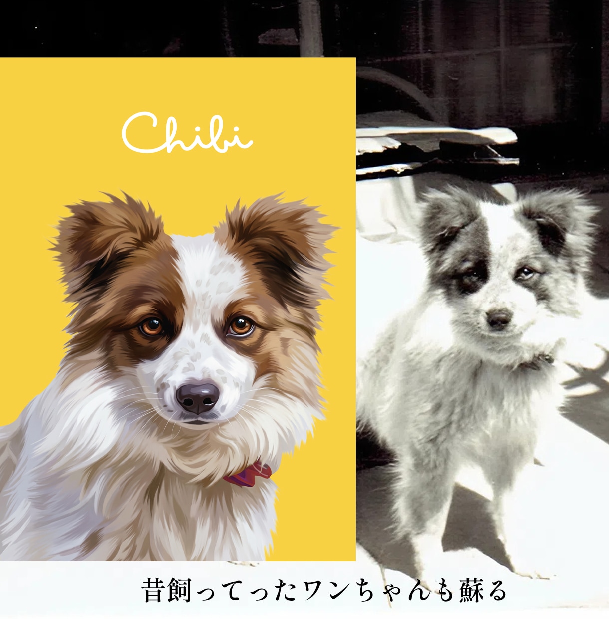 うちの子・ペットの似顔絵イラストを制作します 犬・猫・ペット全般｜こんな写真しかないんですけど…にも対応可 イメージ4